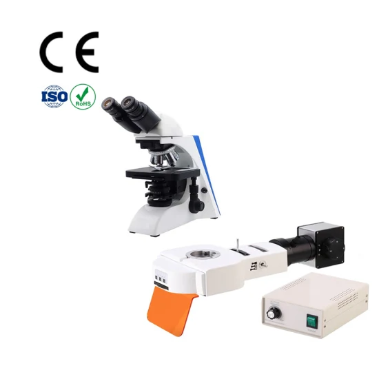 Precio binocular del microscopio de los fabricantes de herramientas del microscopio de fluorescencia para los microscopios Meiji